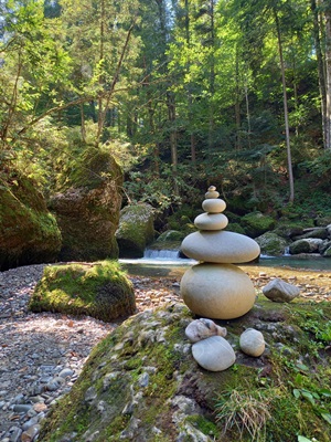 Qigong - Natur geniessen